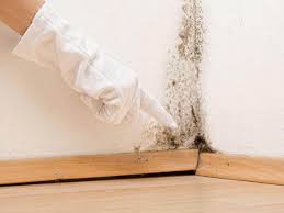 Best Mold Prevention Services  in Lake Brownwood, TX